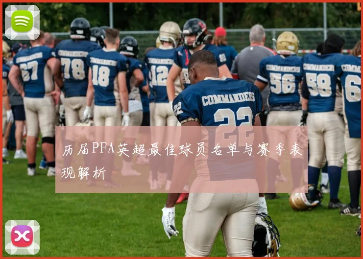 历届PFA英超最佳球员名单与赛季表现解析