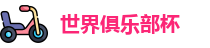 2025世界俱乐部杯